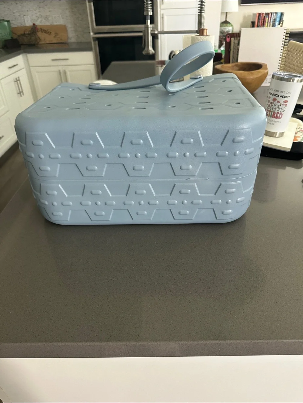 Light Blue Waterproof Tote Basket with Handles - Brand Unspecified NWOT